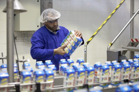 Kontrolle der Milch in der zu Danone gehörenden Meknés Molkerei in Marokko (Foto: Thomas Haley)